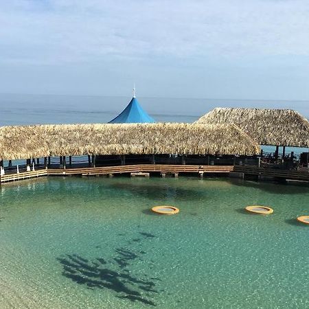 The View At Mystic Ridge Penthouse 78A Apartment Ocho Rios Ngoại thất bức ảnh